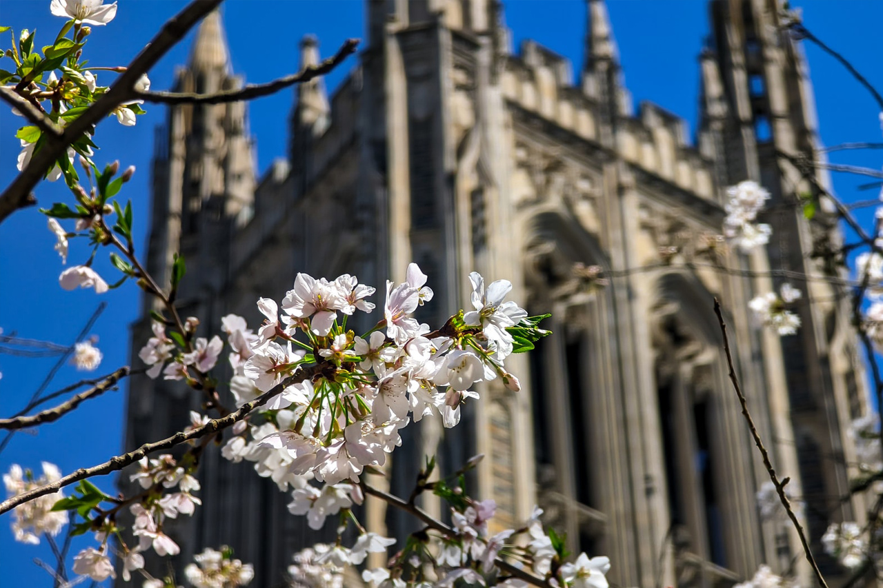 Living in Durham, NC What Is It Like Pros and Cons Combadi