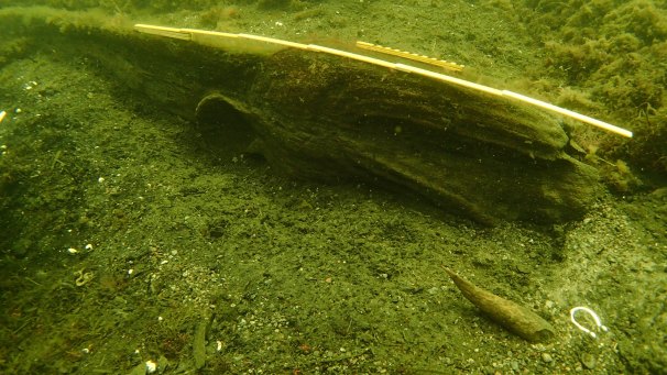 Fig. 5: The figurehead laying upside down and partially buried in the sediment (photo by Professor Johan Rönnby).