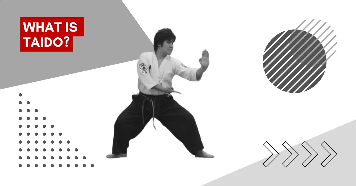 Taido A Beginner's Guide to This Dynamic Martial Art 2024