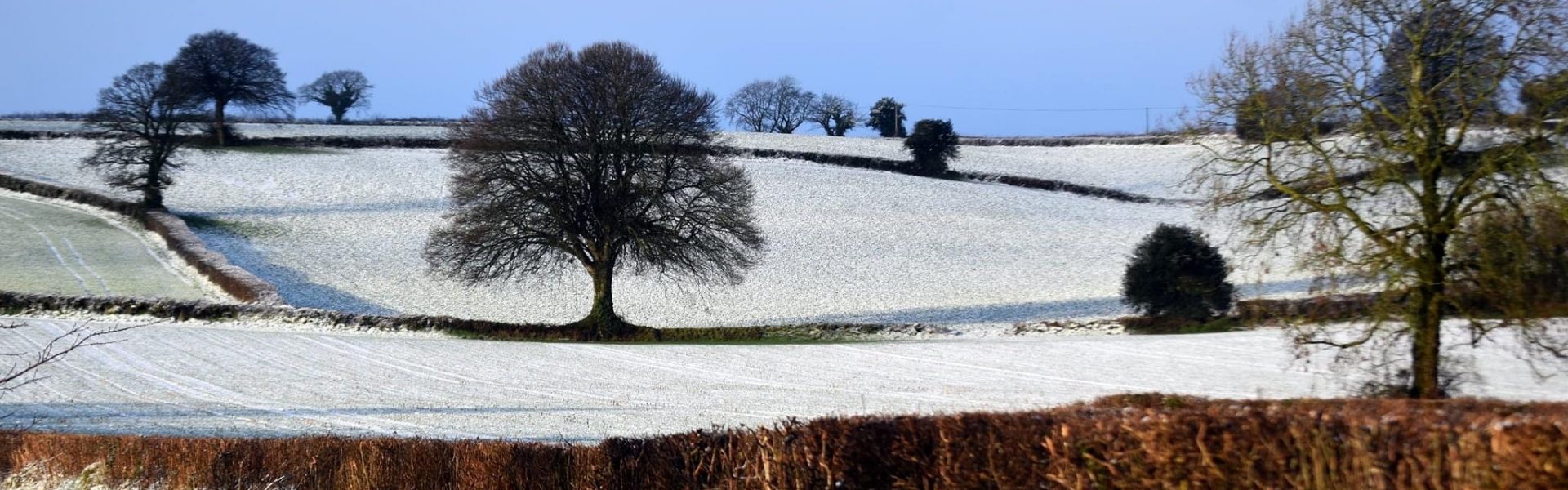 Combe St. Nicholas Parish Council Somerset , England