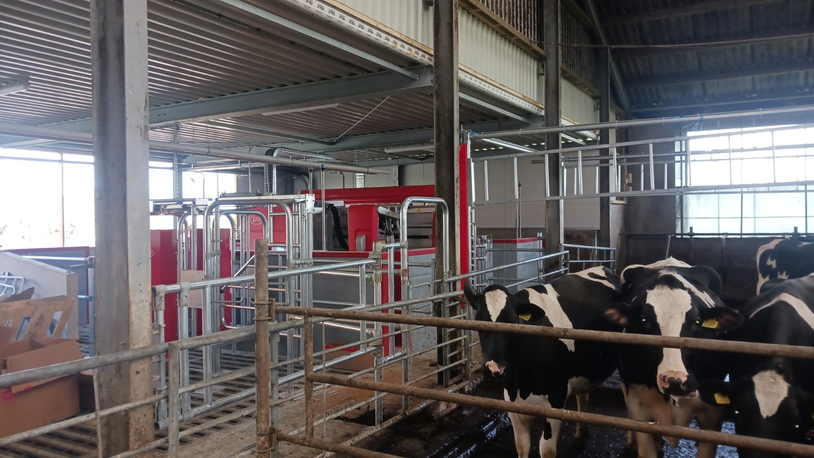Lely milking robot area Combiboard