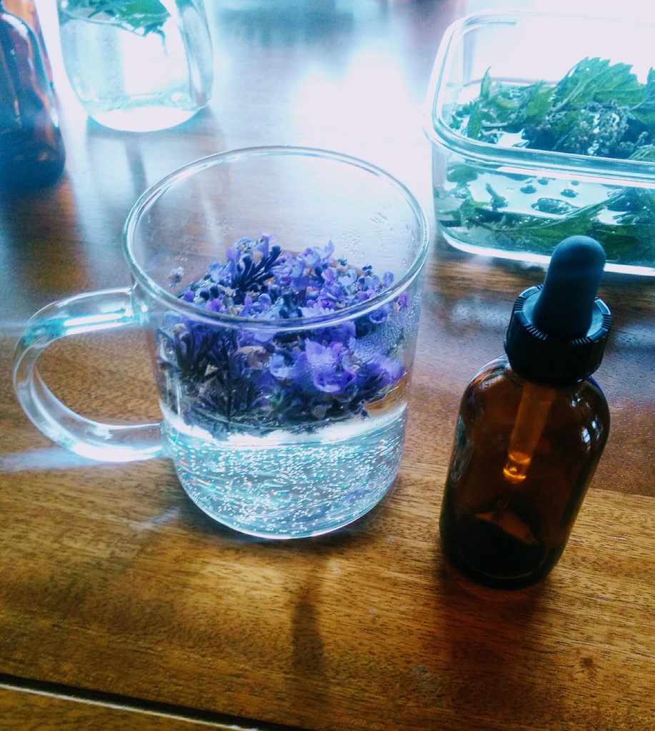 Combination Healing Start Here! What Are Flower Essences?
