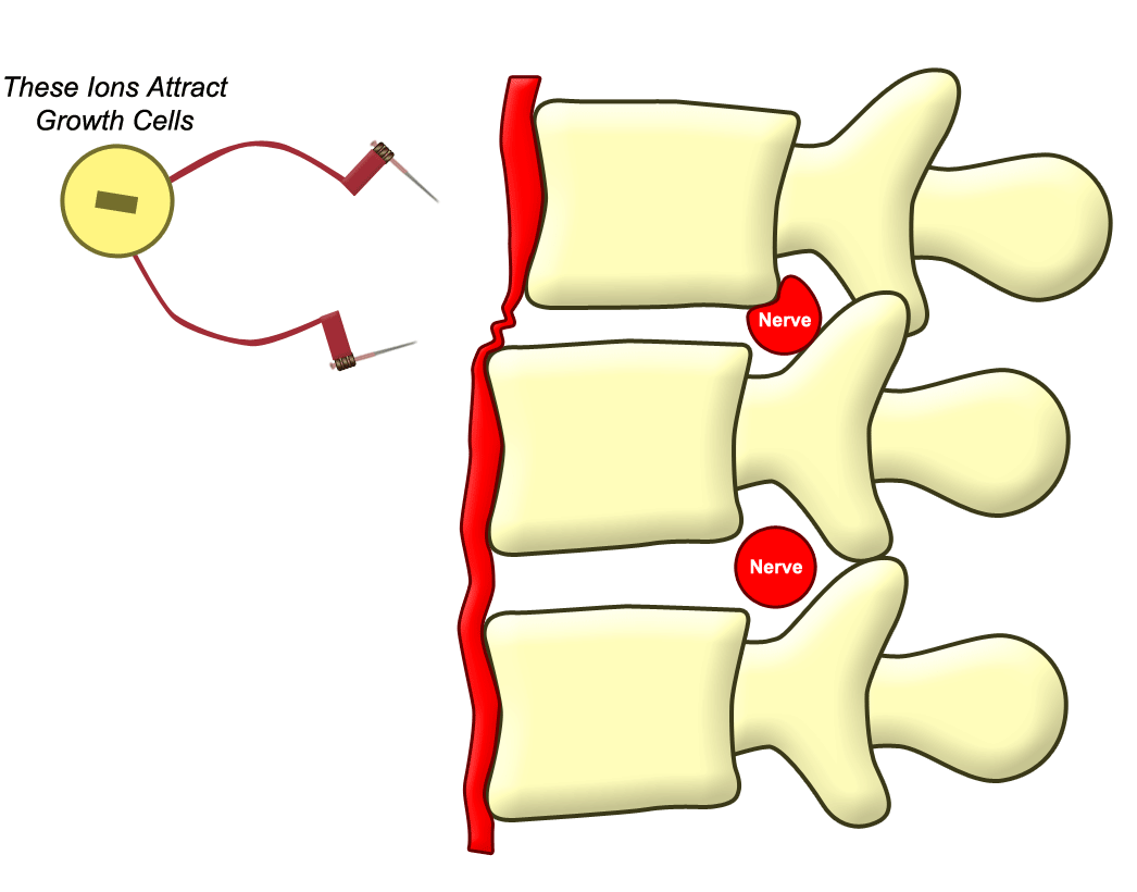 Combined Care Center Libertyville Naprapathy Chiropratic and Prolotherapy