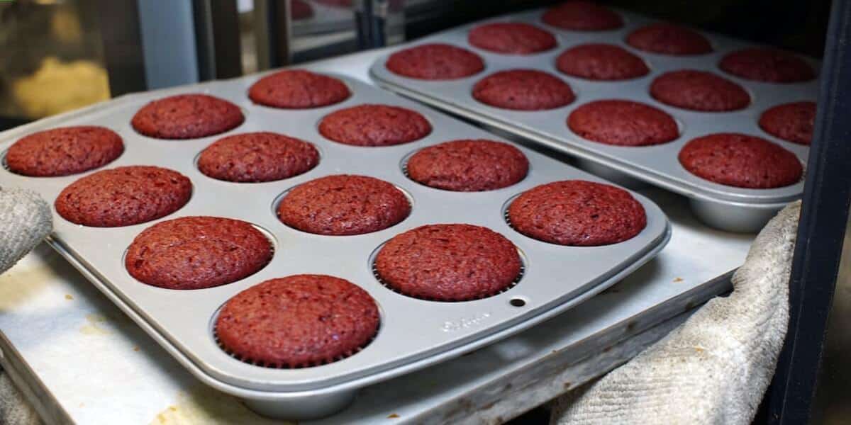 Do convection ovens use more electricity? Combi Oven