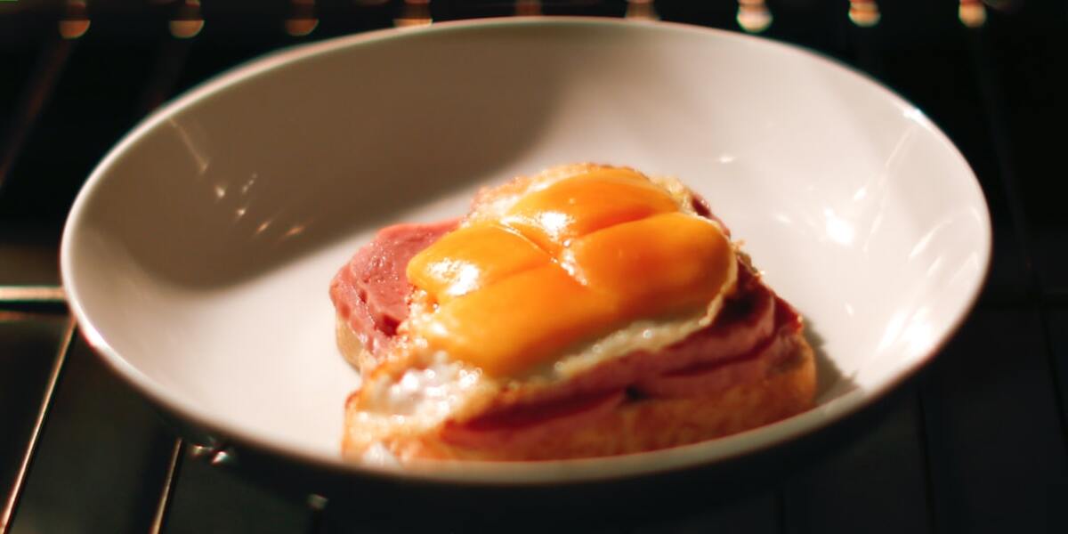 How does the Thermador Steam Oven work? Combi Oven