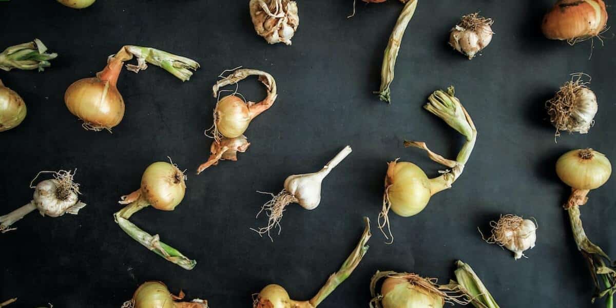 How long does it take to cook pork chops? Combi Oven