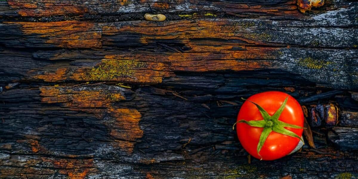 What happens if we add more water to the rice? Combi Oven