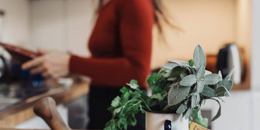 Why is my steamer not steaming? Combi Oven