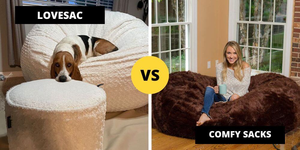 Lovesac vs Comfy Sack Which One is Best?