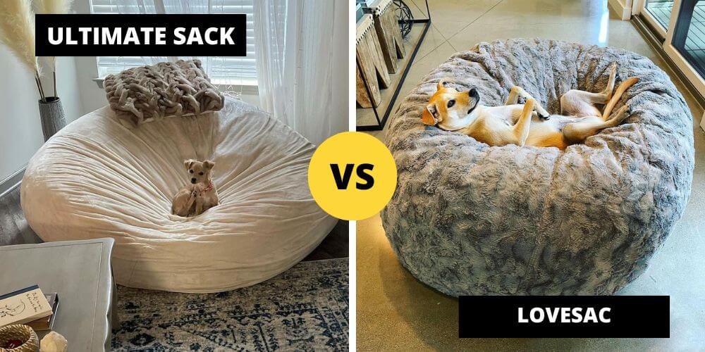 Lovesac vs Ultimate Sack What is the Difference?
