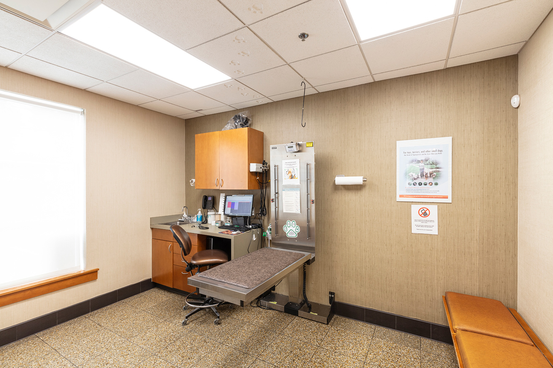 Willard Veterinary Clinic Commonwealth Building