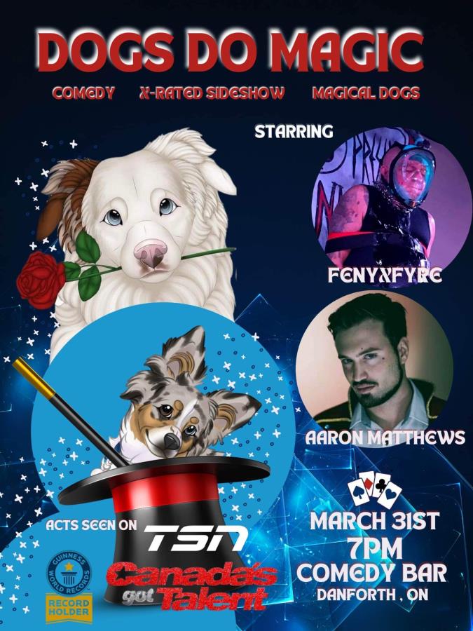 Dogs Do Magic Comedy Bar