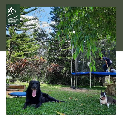 La Estancia Comelon GO