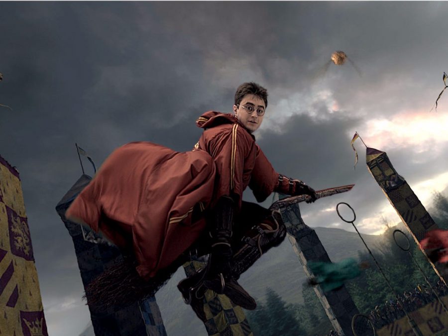 How to Play Quidditch in the Muggle World The Comenian