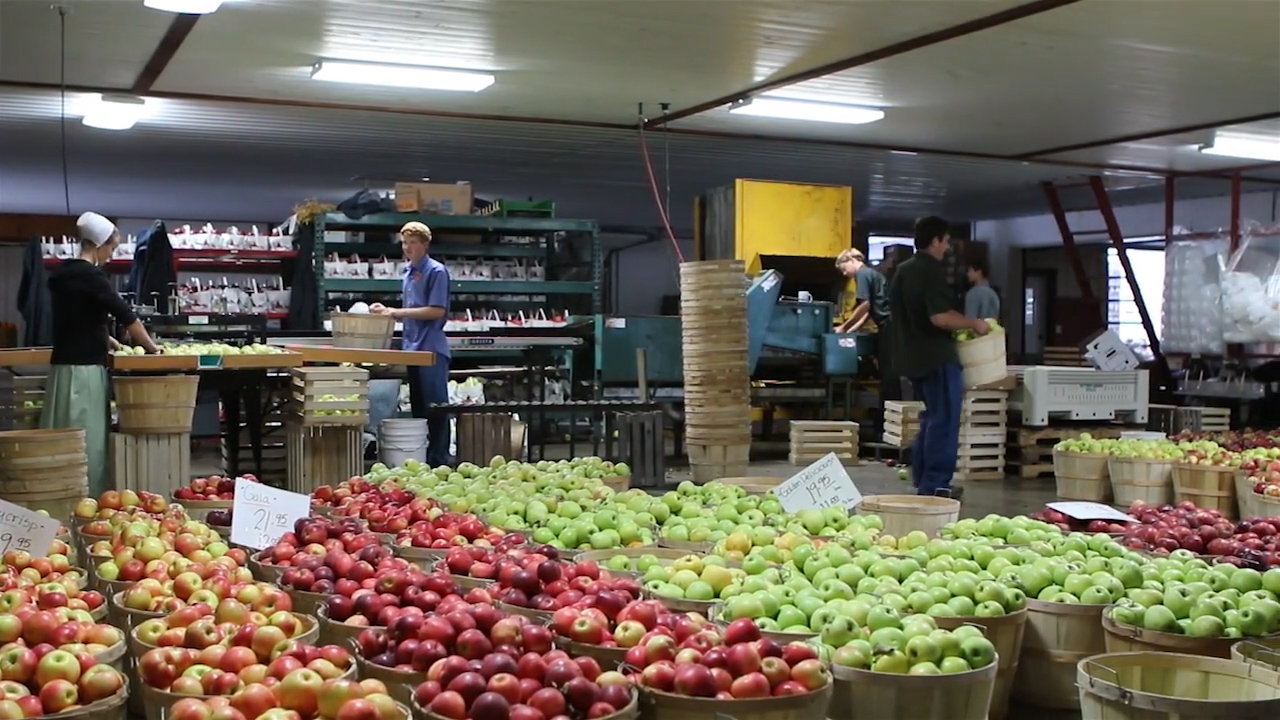 The Story Behind Walnut Creek's Hillcrest Orchard Walnut Creek Ohio