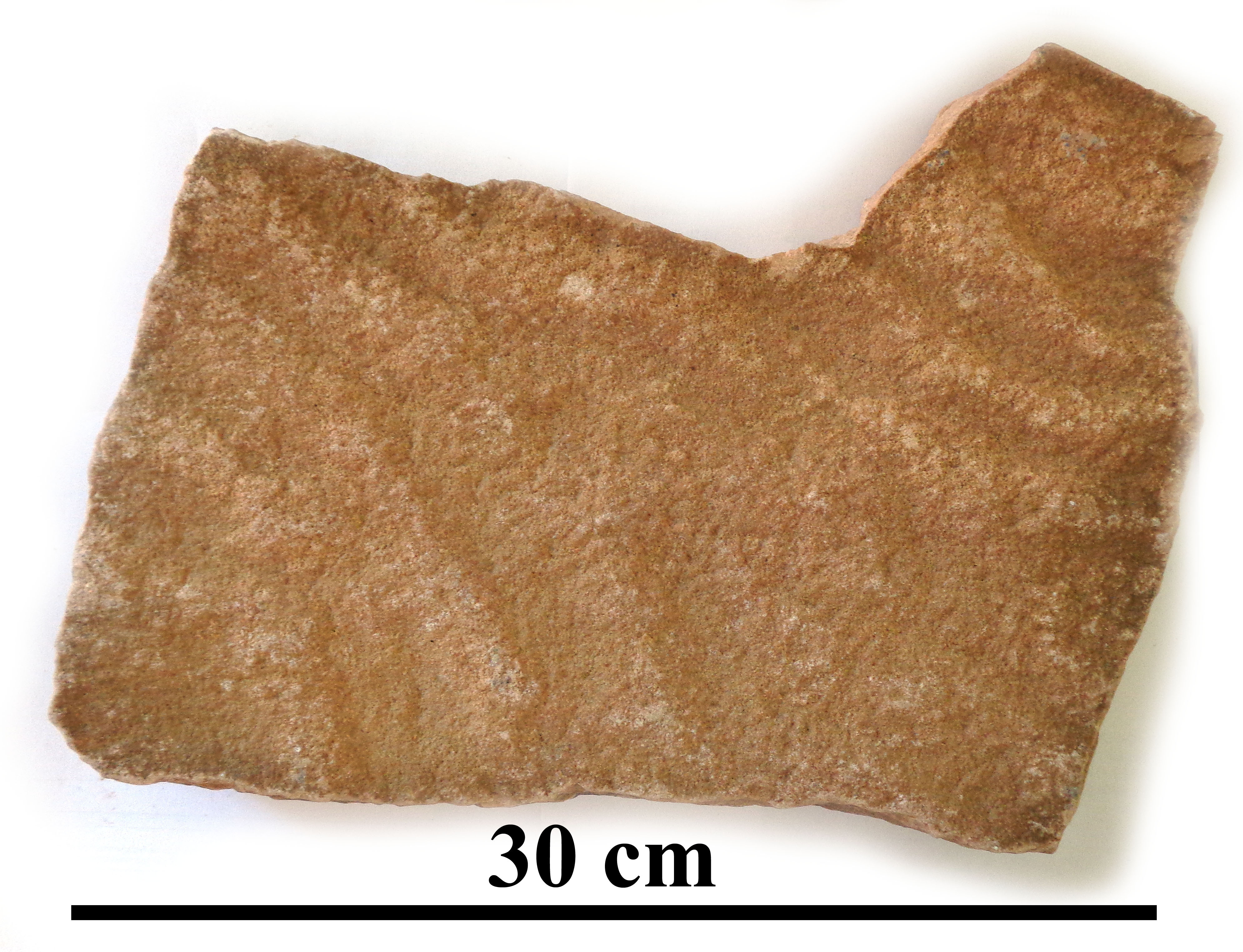 Comet/Oscillation ripple marks