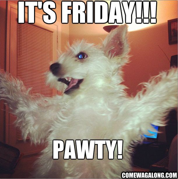 TGIF! Happy Friday! Come Wag Along