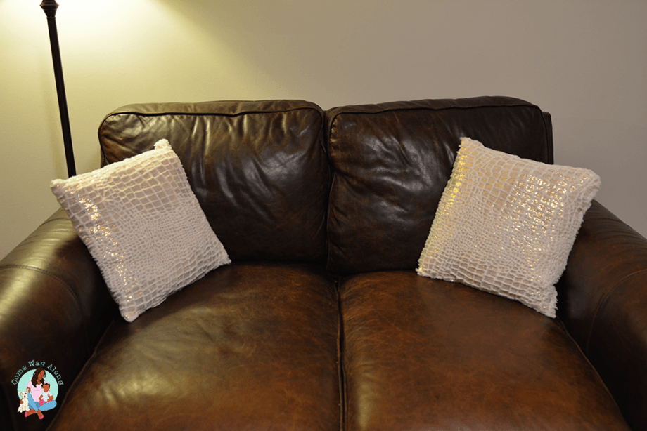 New Home Decor Come Wag Along