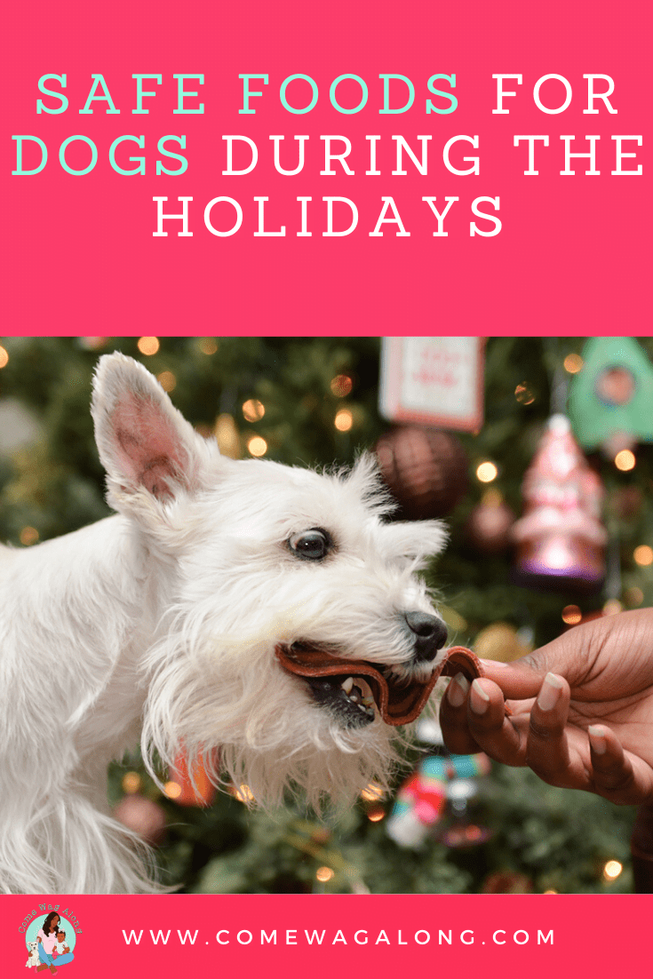 Safe Foods for Dogs Come Wag Along