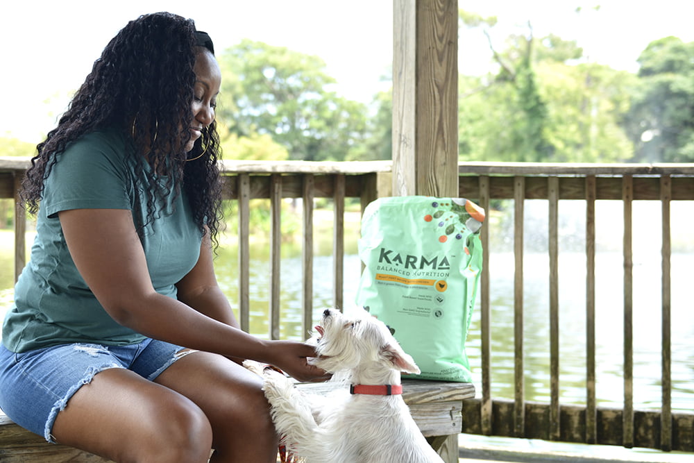 How to Make Greener Lifestyle Choices for You and Your Dog Come Wag Along