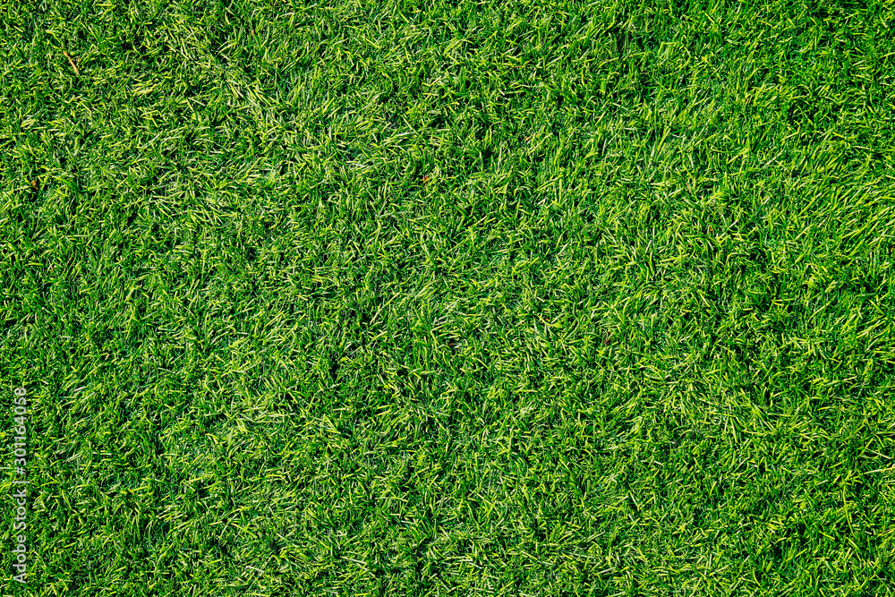 Artificial Turf Protection Comfort Pro