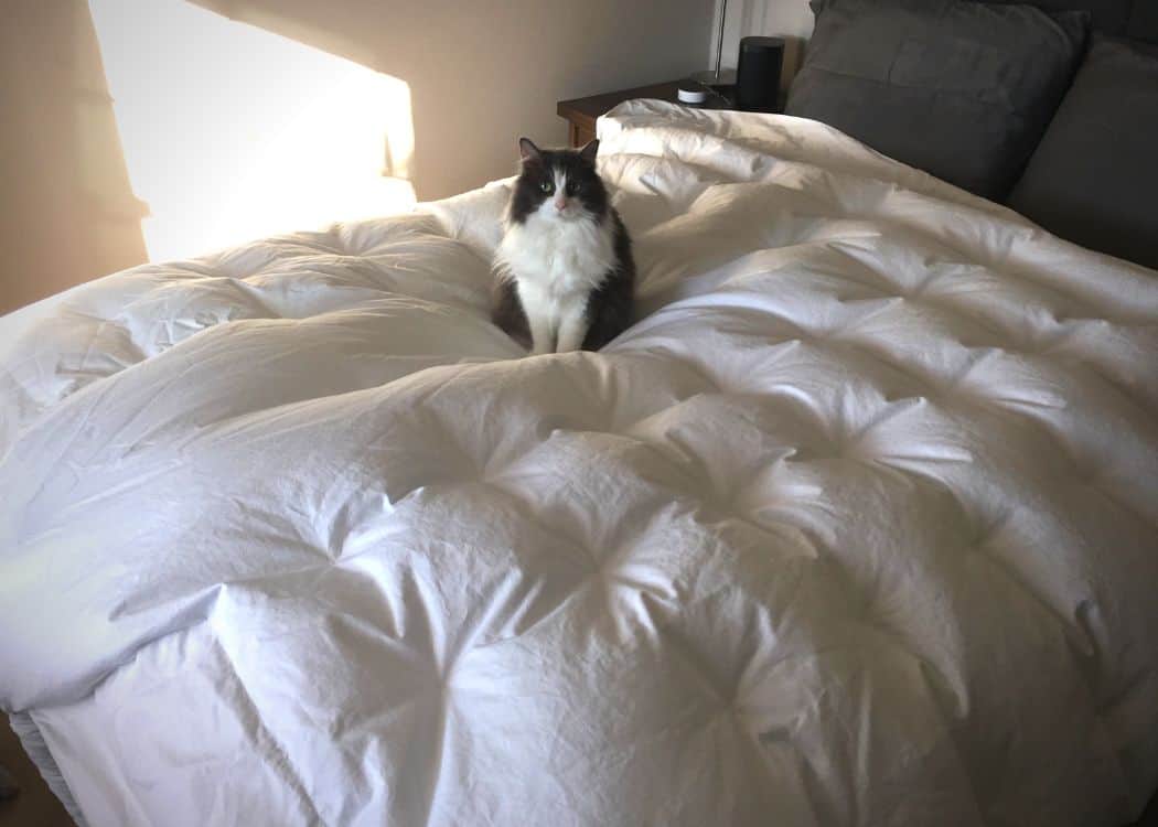 BedJet 3.0 Rapid Cooling & Warming System For Your Bed Comfort Sleep