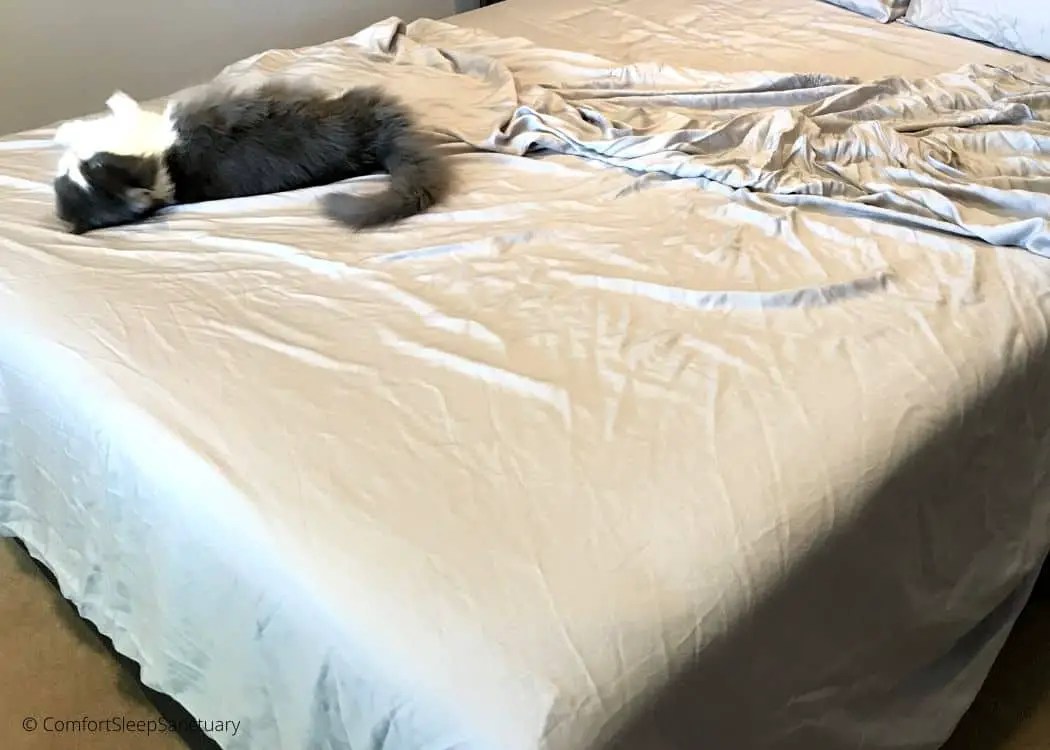 Resources & Reviews Comfort Sleep Sanctuary