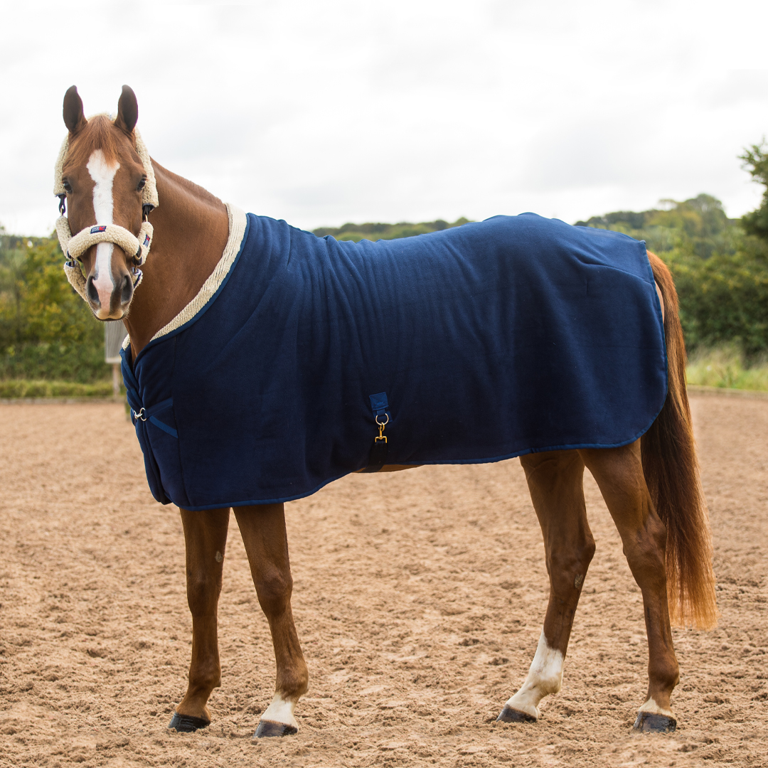 Classic Rug Comfort Zone Equestrian