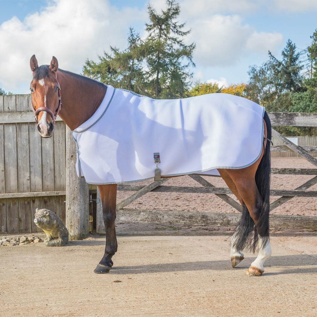 Comfort Zone Airoflow Mesh Rug Comfort Zone Equestrian