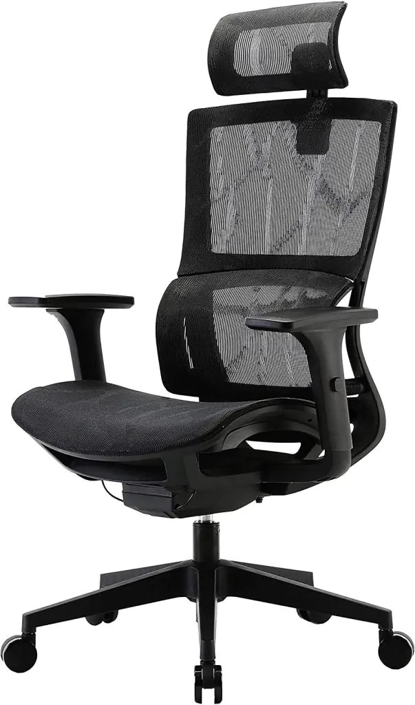 10 Best Office Chair For Lower Back and Hip Pain Comfy Sittings