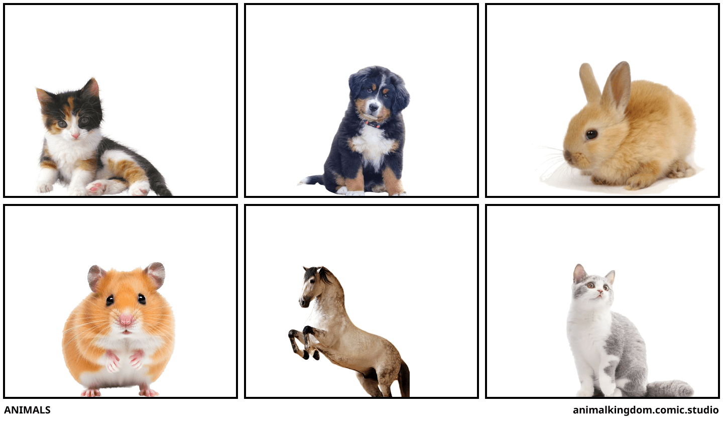 ANIMALS Comic Studio