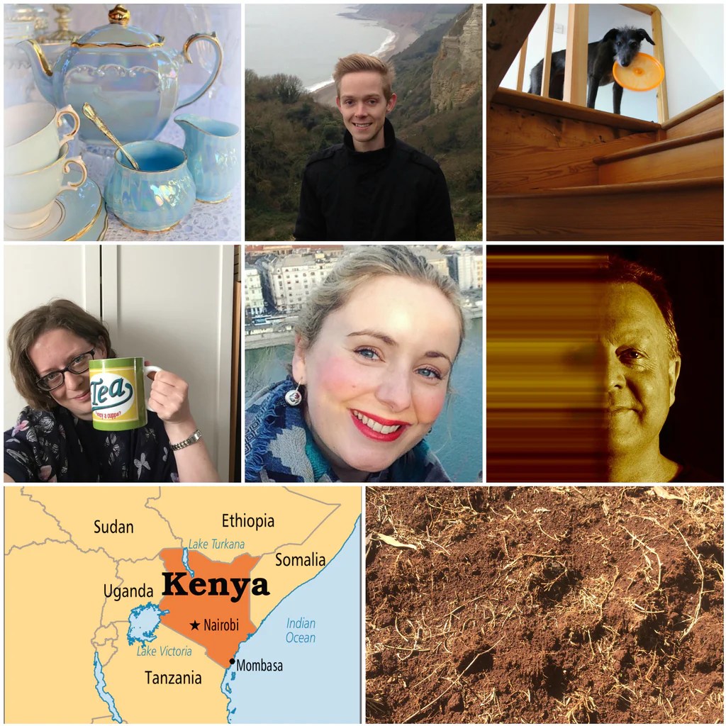 Tea & Terroir Our Tasting Club Comins Tea