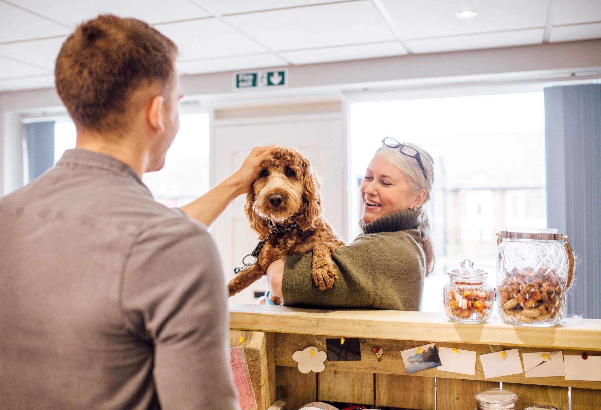 Cuáles Son Los Mejores Restaurantes Pet Friendly En San Miguel De Allende