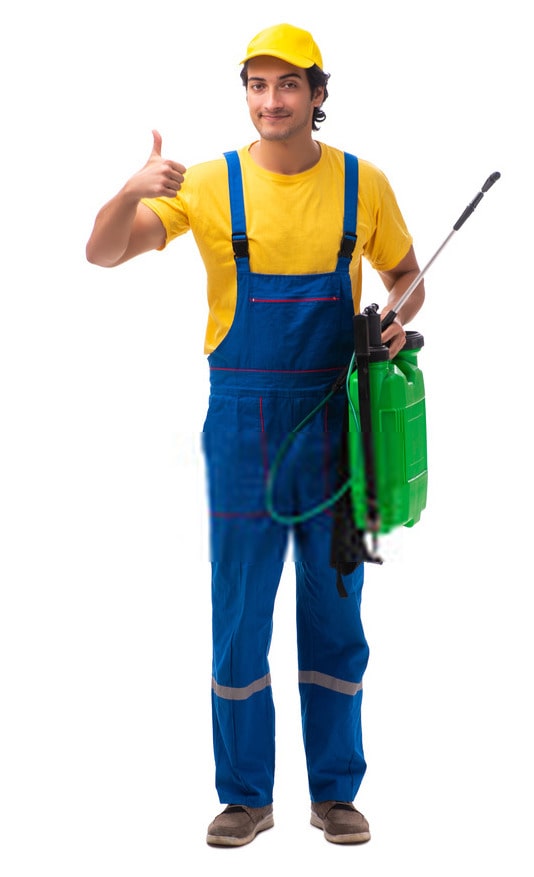 Best Pest Control in Melbourne, VIC