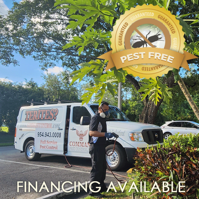 Pest Control Company Broward County Termite & Rodent Control Palm