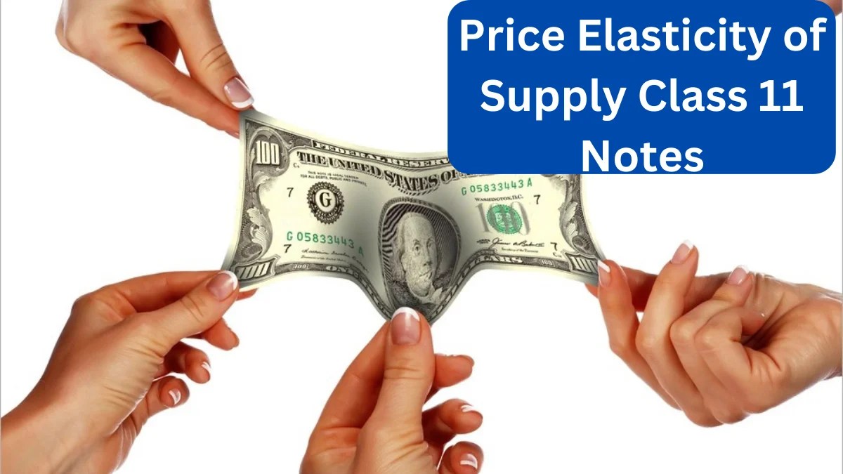 Price Elasticity of Supply Class 11 Notes Commerce Clarity