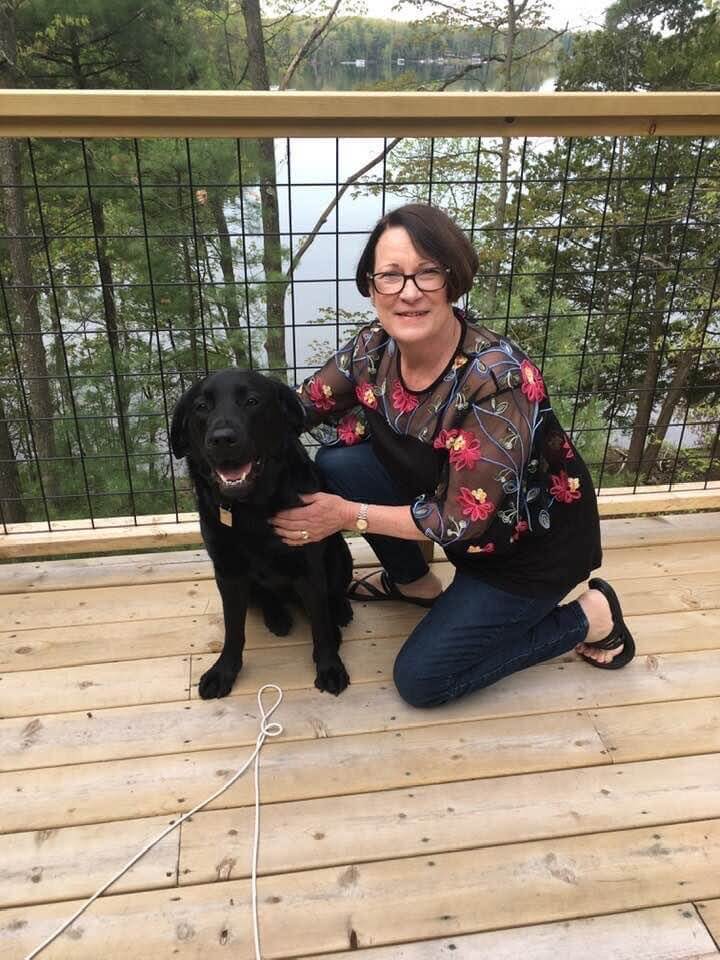 Meet The Team Commerce Village Veterinary Hospital