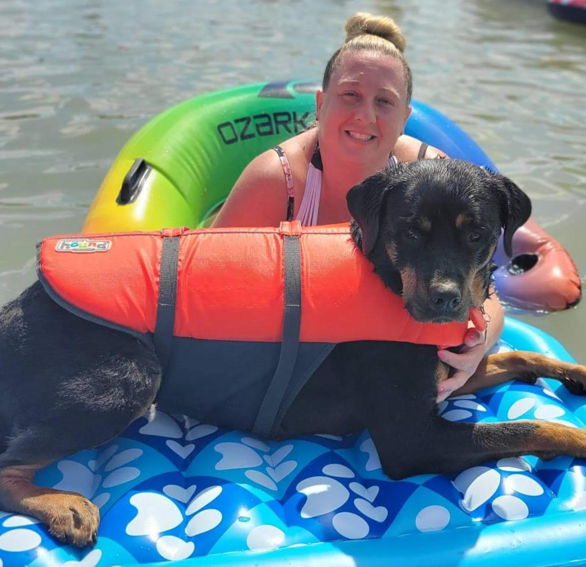 Meet The Team Commerce Village Veterinary Hospital