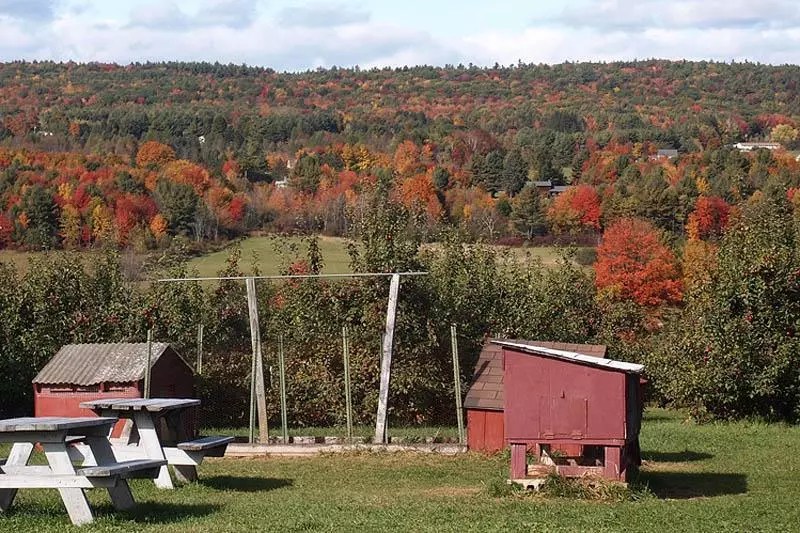 Wisconsin Commercial Land for Sale WI Vacant Land & Lots