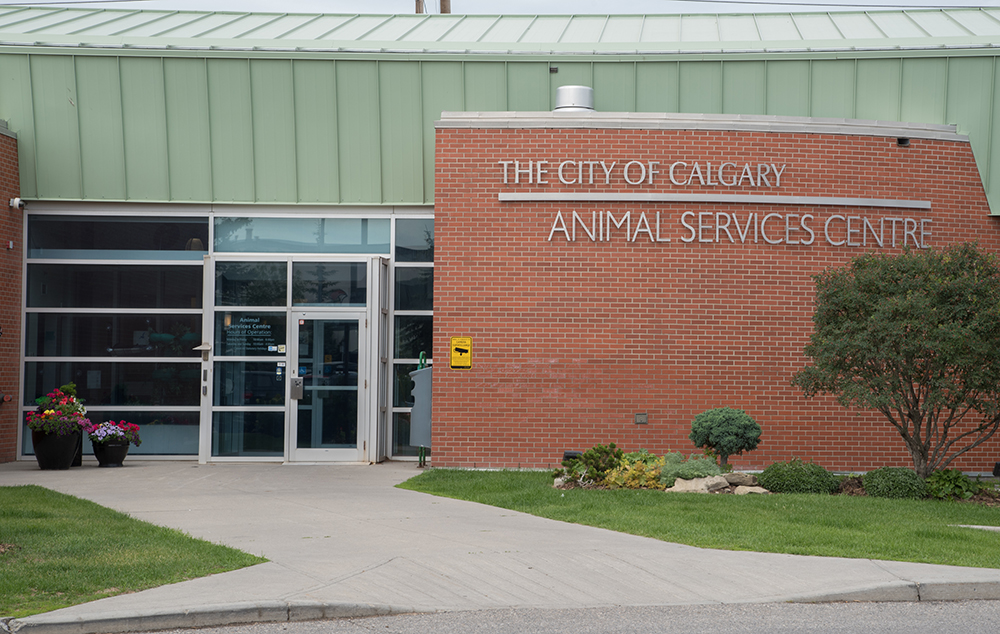 City of Calgary Animal Services Centre RSR Commissioning