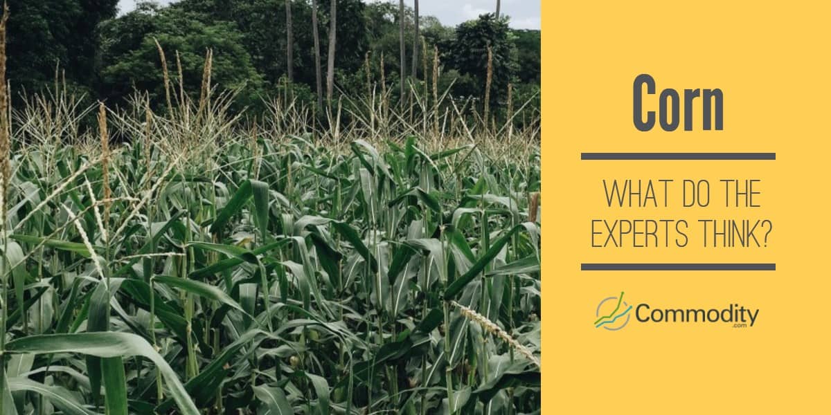 Trading Corn In 2021 4 Reasons To Consider Corn