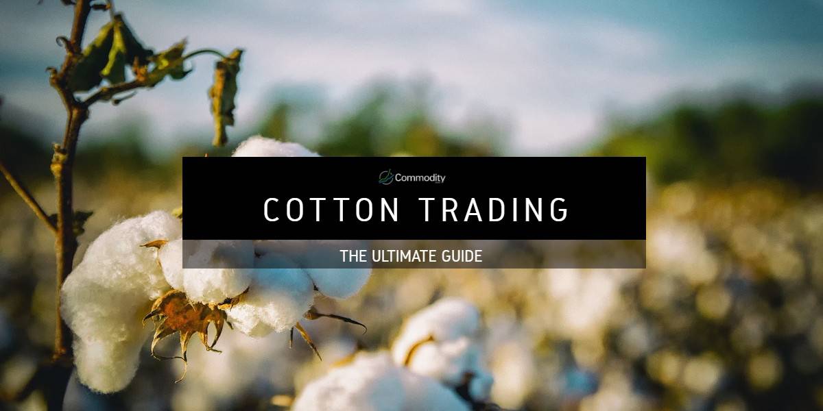 Cotton Trade Learn What The Experts Are Predicting Now