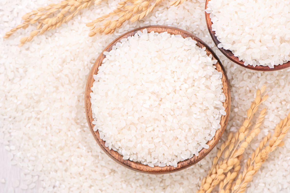 What is rice made from? Common Grains