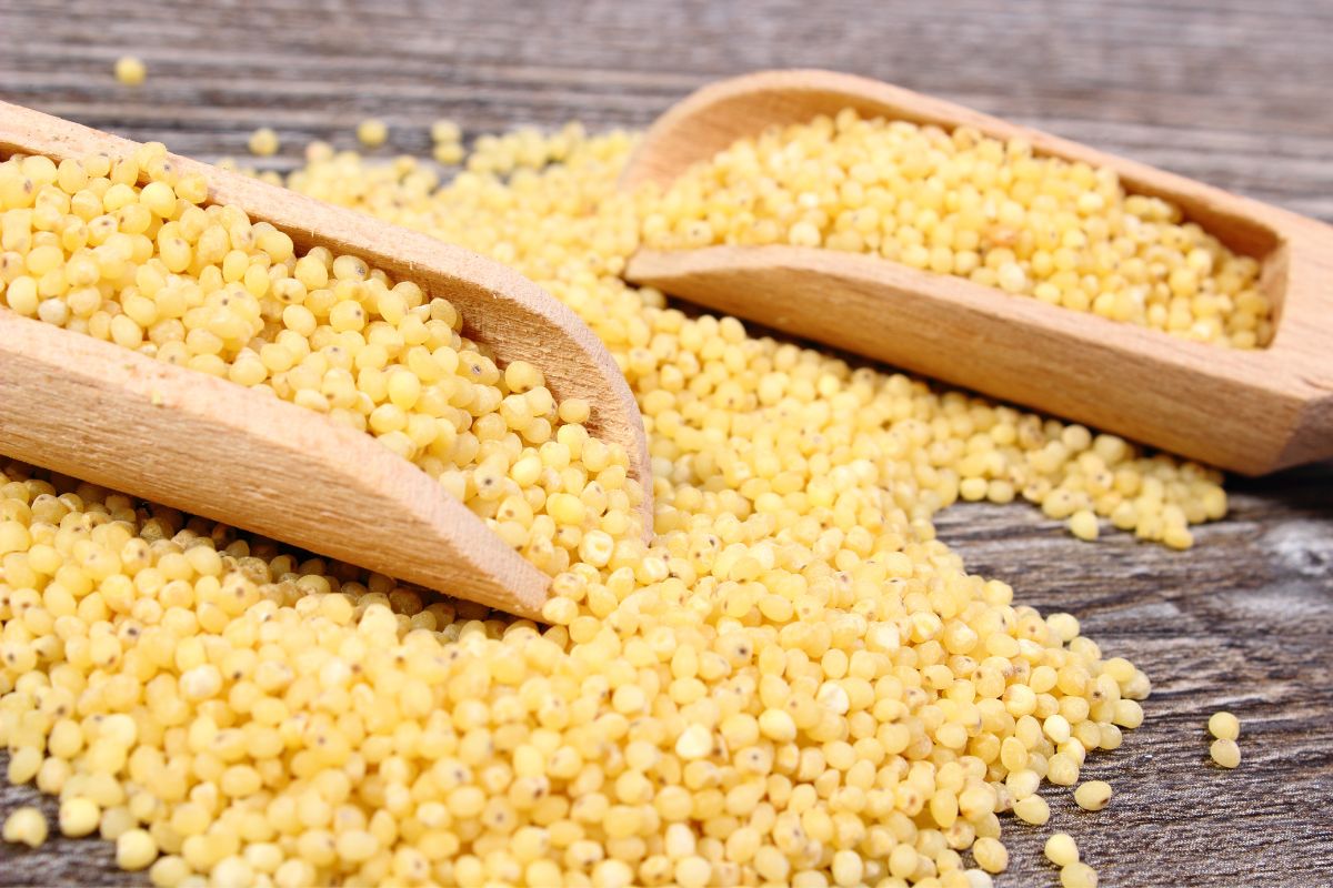 How to prevent millet from causing constipation Common Grains