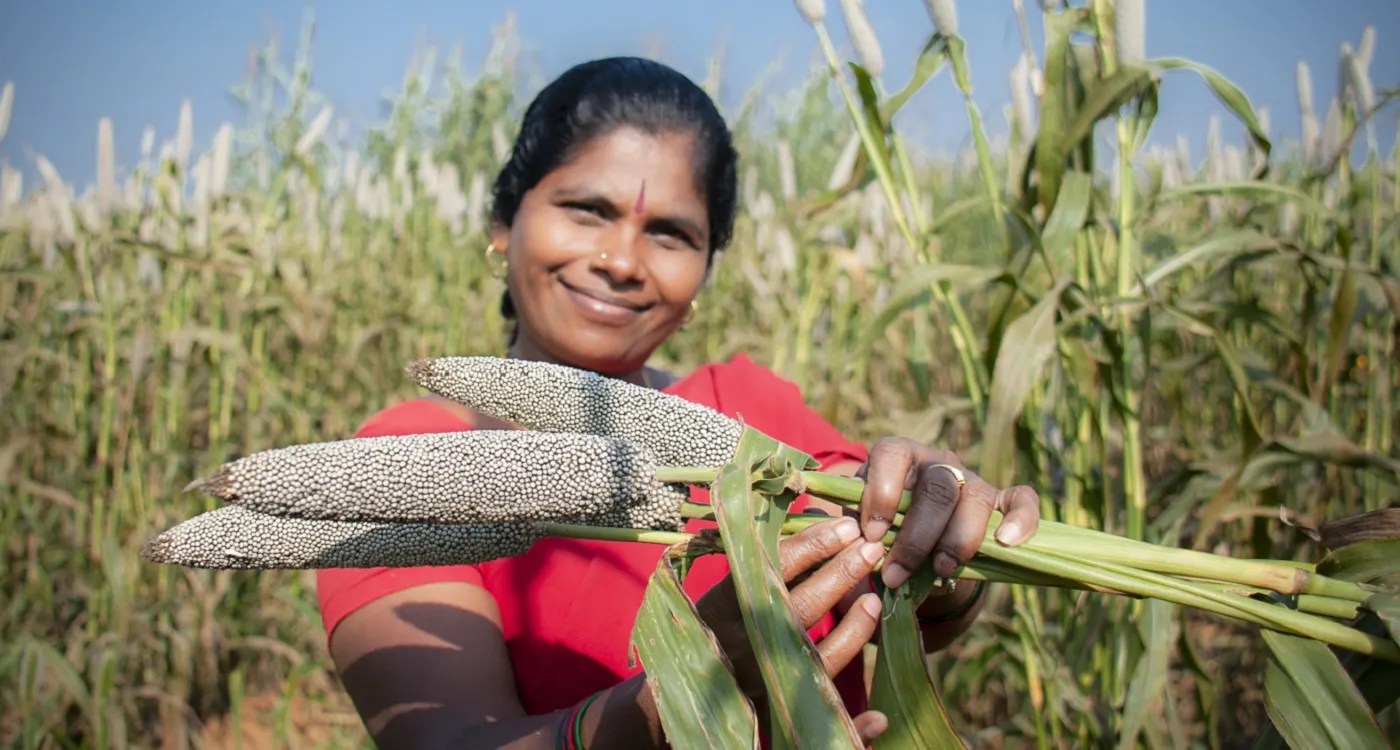 Millets an ancient crop for a resilient future Commonland