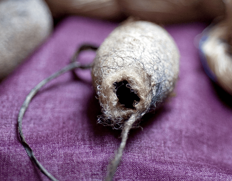 Guide To Sourcing Sustainable Silk For Designers Common Objective