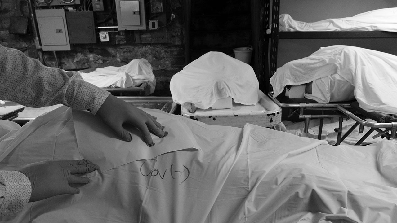 To Live and Die With COVID19 in New York Common Reader