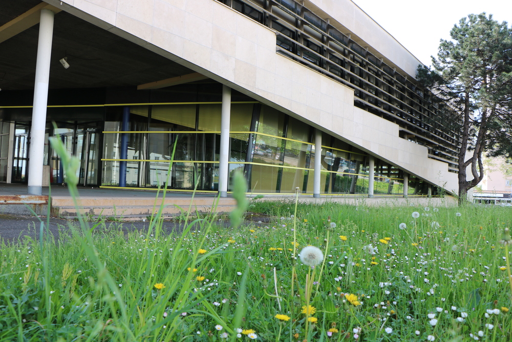 Master Pro. Gestion des ressources humaines IAE DIJON