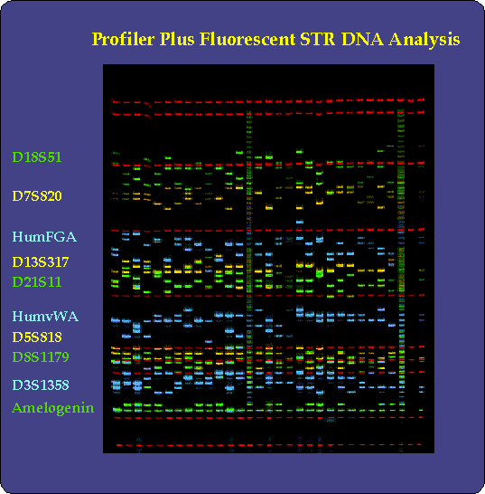 New and improving DNA profiling continues to impress and surprise