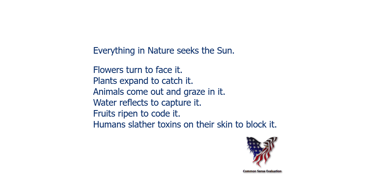 The Sun Common Sense Evaluation